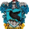Applicatie - Harry Potter Ravenklauw