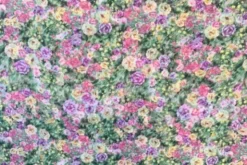 Chiffon - Pink/Yellow/Green Flower Sea
