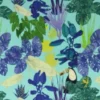 Lycra - Toekan in the wild Aqua