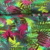 Lycra - Under the palm leaves