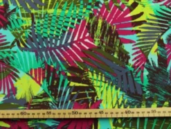 Lycra - Under the palm leaves