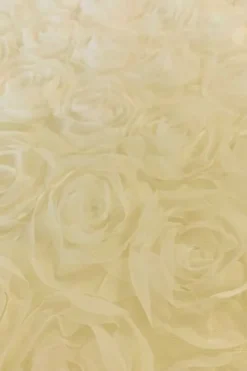 Mesh - Bridal Roses - Warm Champagne