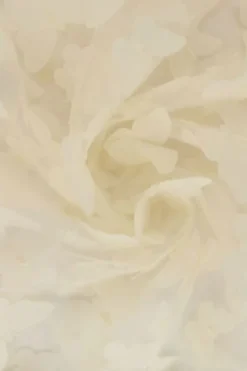 Mesh Butterfly - Champagne 22