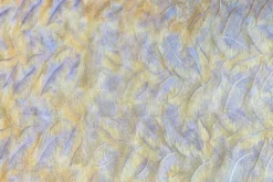 Mesh - Embroidery Feathers - Light Yellow/White