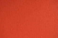 Rib Jersey - Bright Red