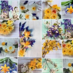 Tafelzeil - Spring Blooming Flowers