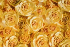 Viscose - Golden Roses