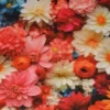 Viscose - Real Multicolor Bouquet of Flowers