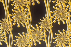 Viscose - Wiggle Yellow Flowers on Navy